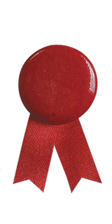 Pin's Ruban Solidario