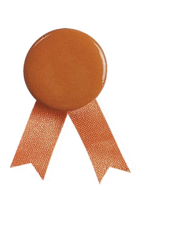 Pin's Ruban Solidario