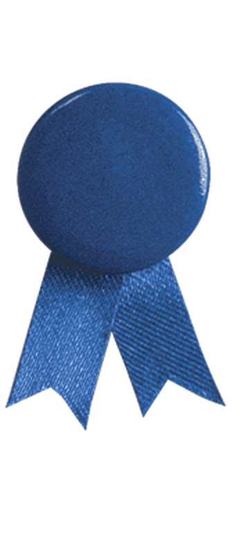 Pin's Ruban Solidario