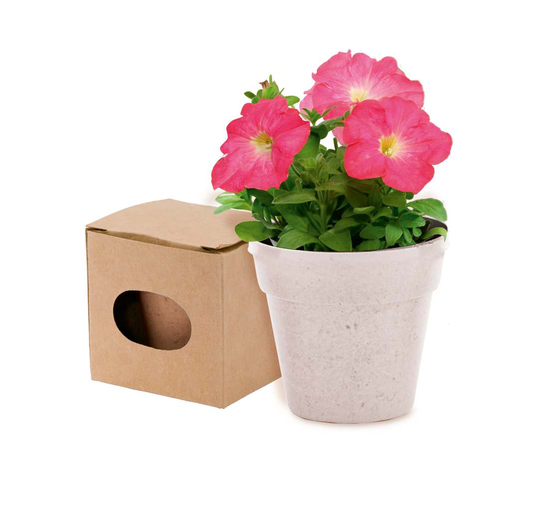 Pot de Fleurs Advert