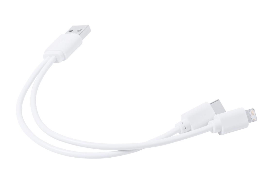 Câble de Charge Vitral