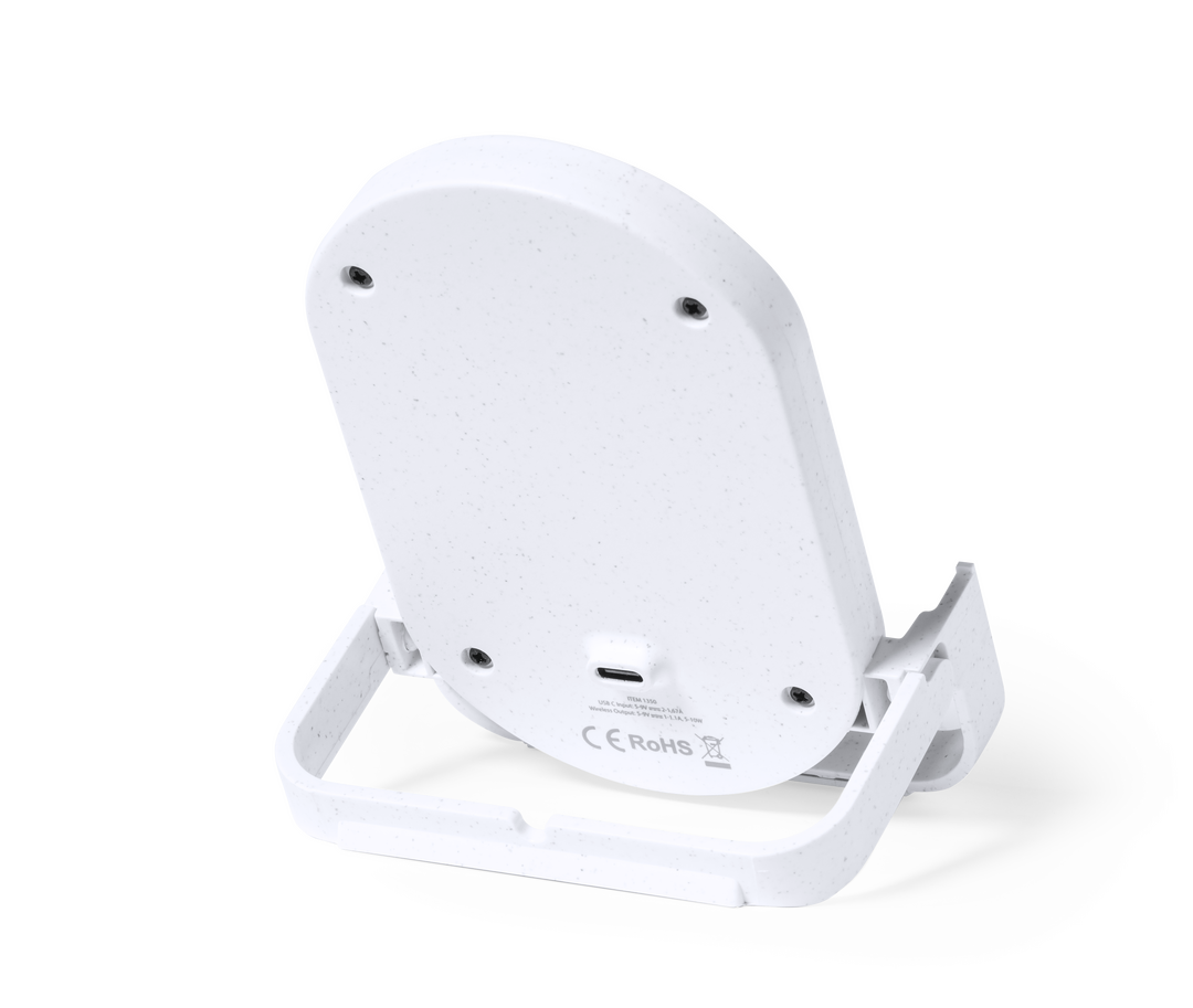 Chargeur Buisson
