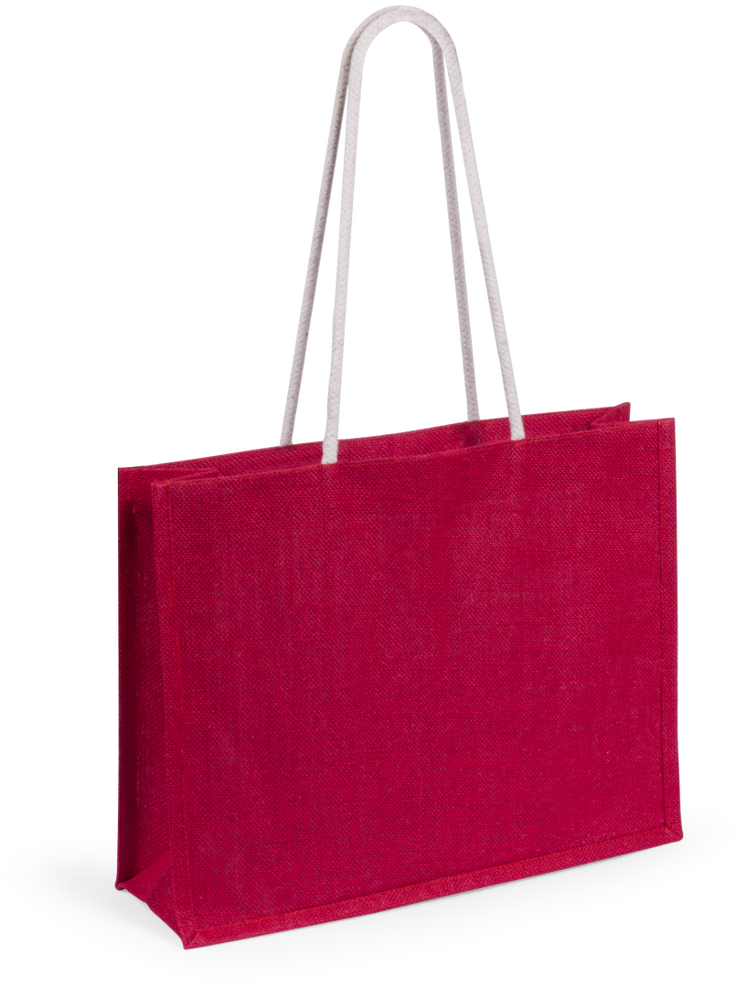 Sac Hintol