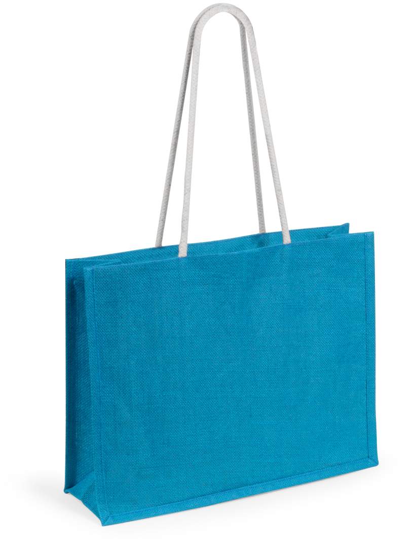 Sac Hintol
