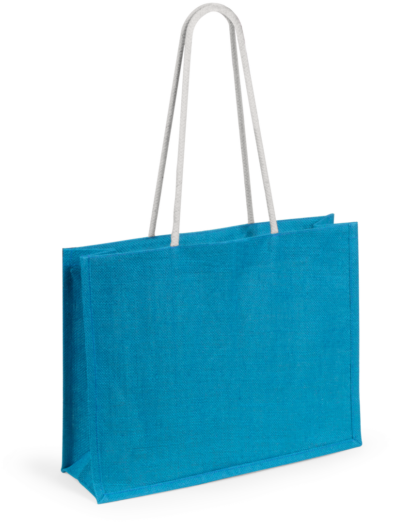 Sac Hintol