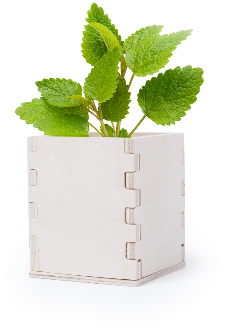 Pot de Fleurs Merin