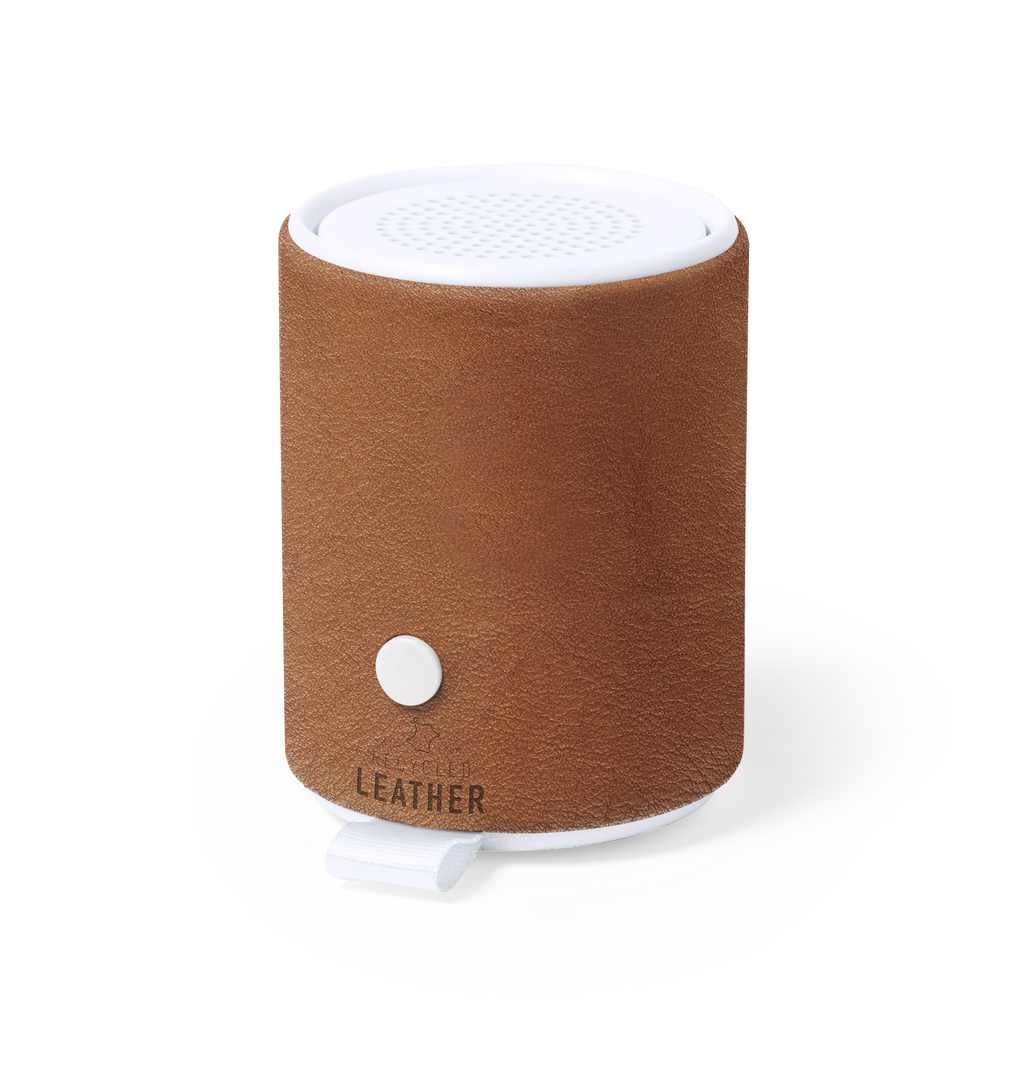 Haut-Parleur Sotep RCS