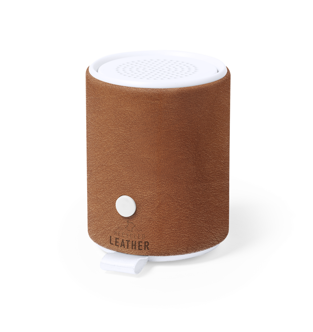 Haut-Parleur Sotep RCS