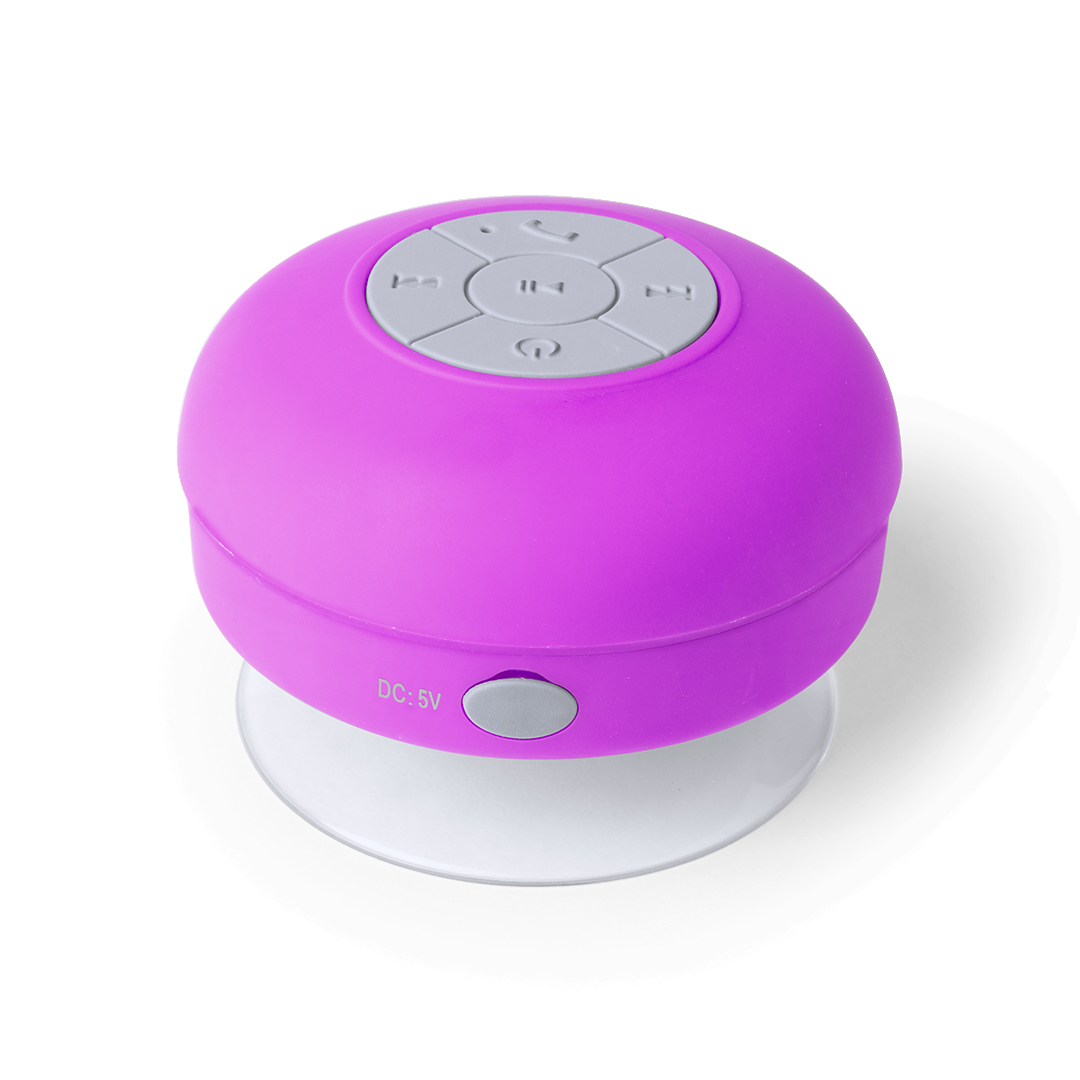 Haut-Parleur Rariax