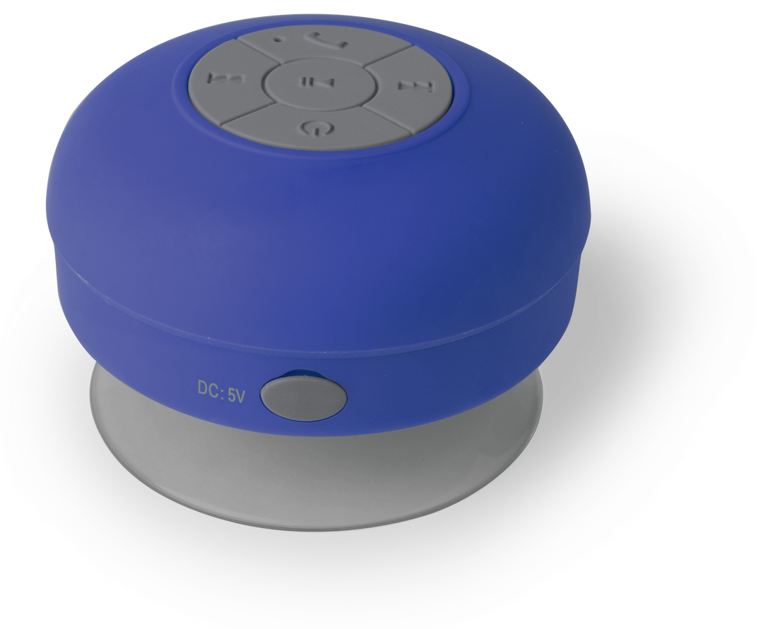 Haut-Parleur Rariax