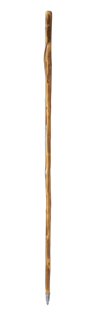 Bâton Tamdar