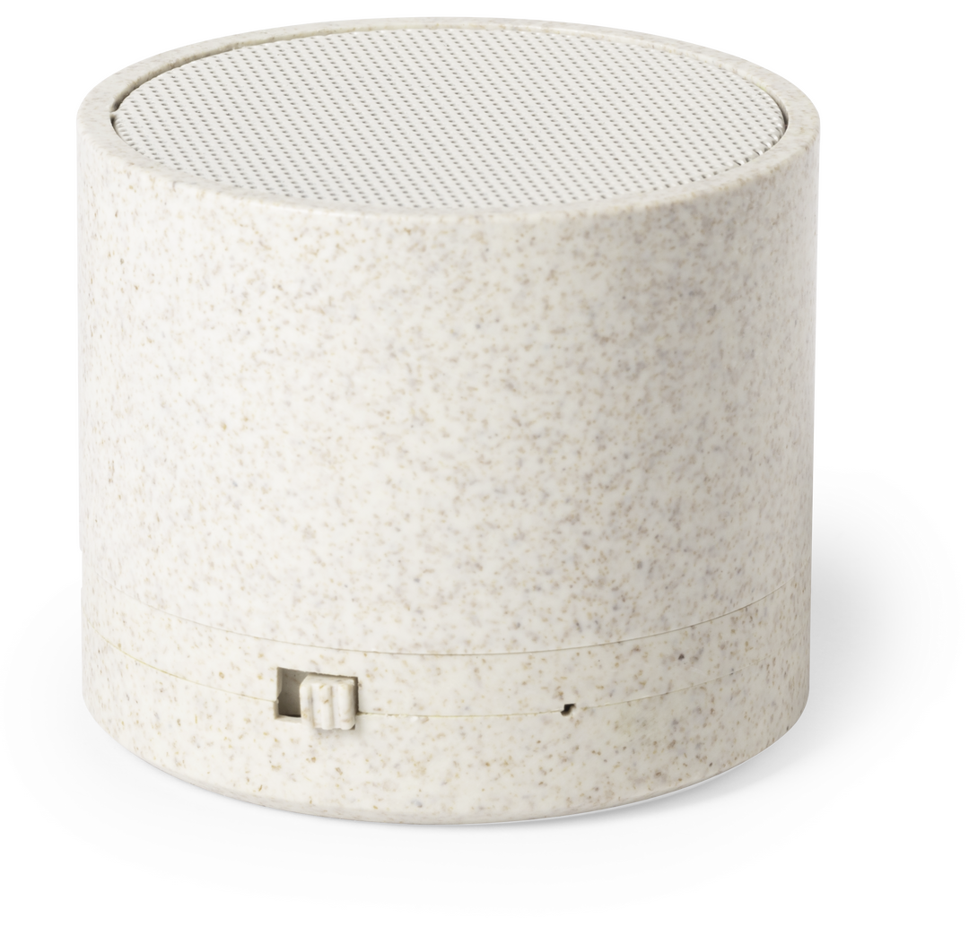 Haut-Parleur Cayren