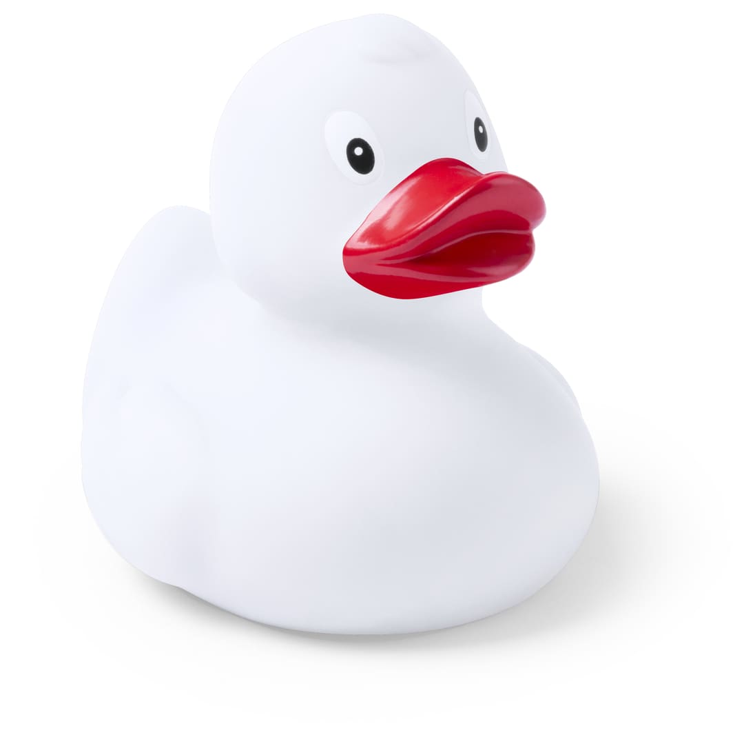 Canard Koldy