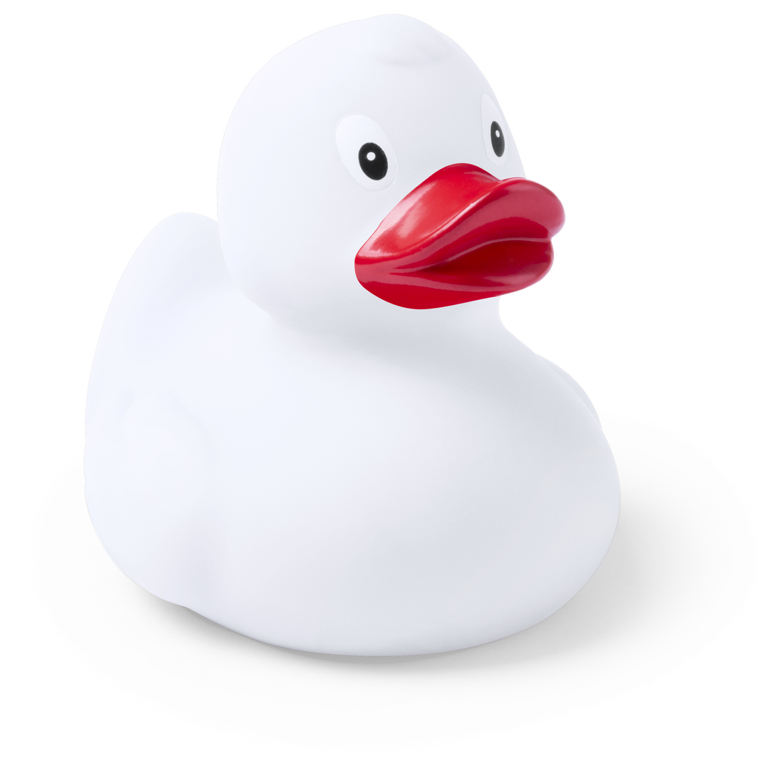 Canard Koldy