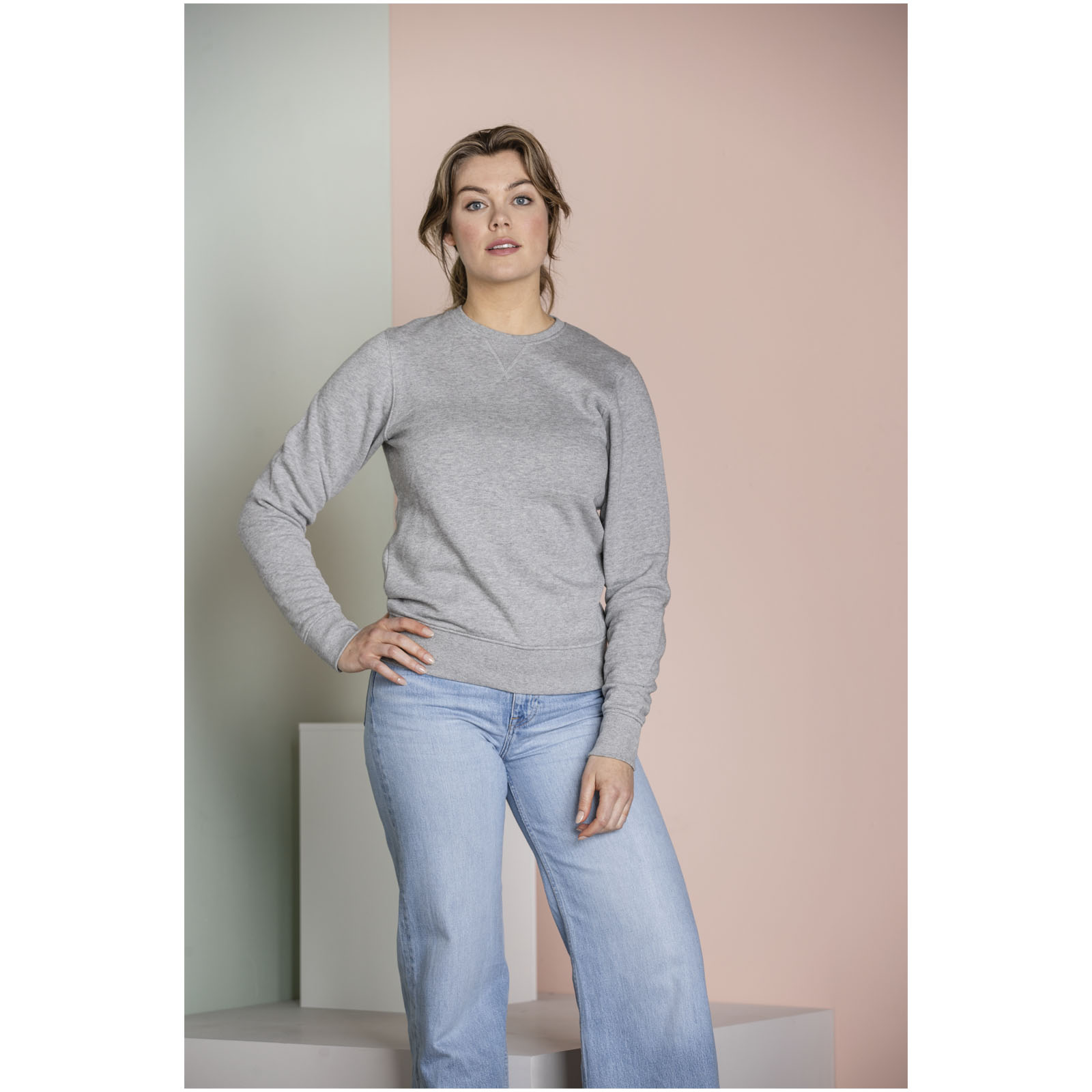 Elevate Sweat shirt ras du cou unisexe de 300 g/m² Arora