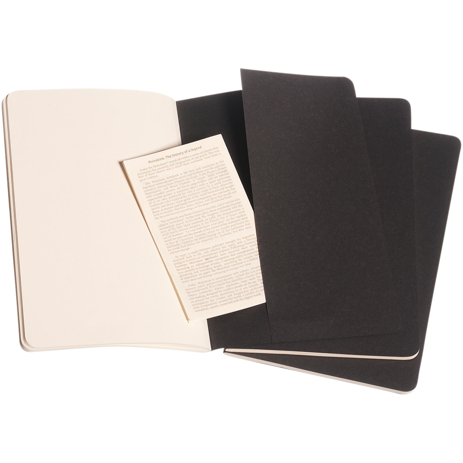 Moleskine Journal Cahier L - ordinaire