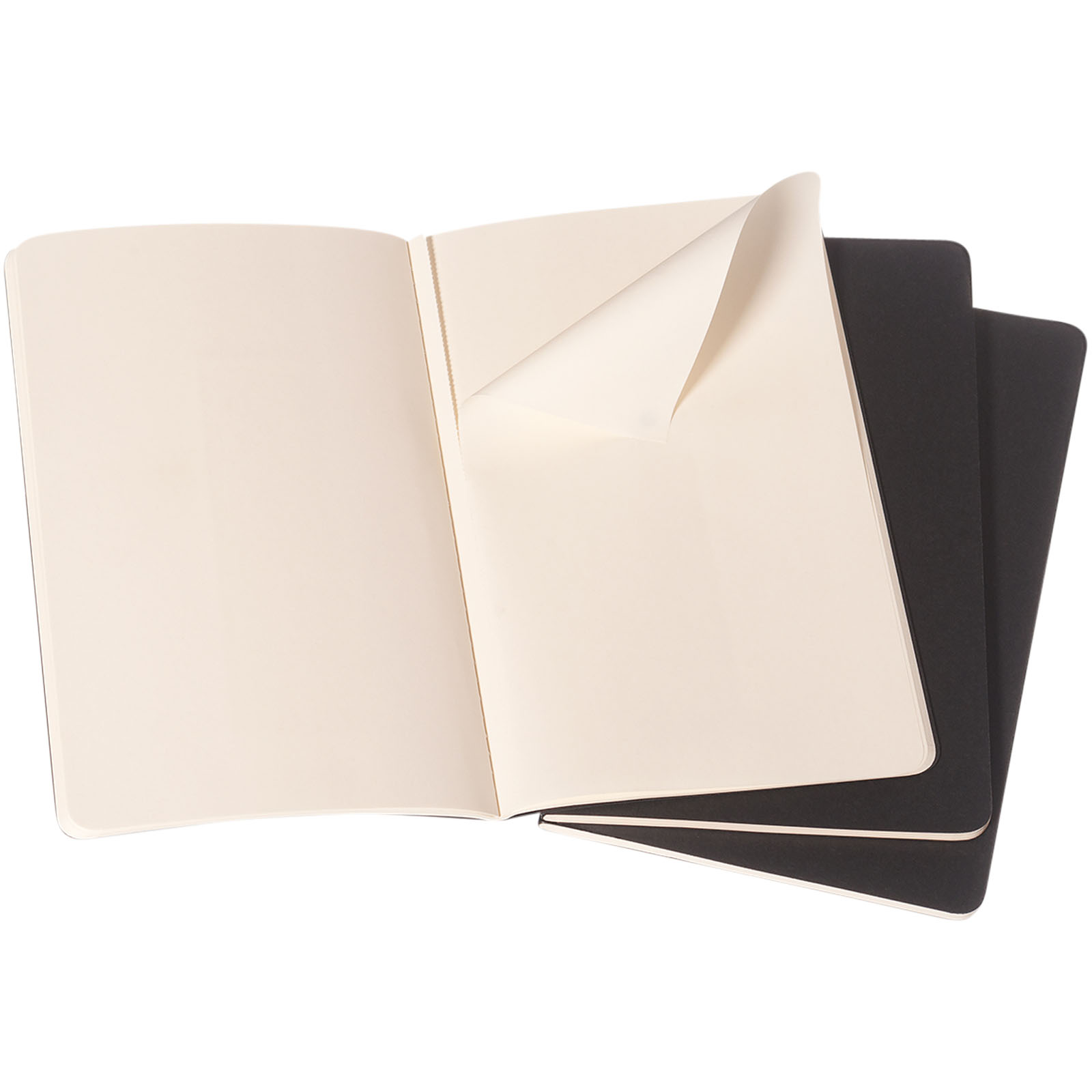 Moleskine Journal Cahier L - ordinaire