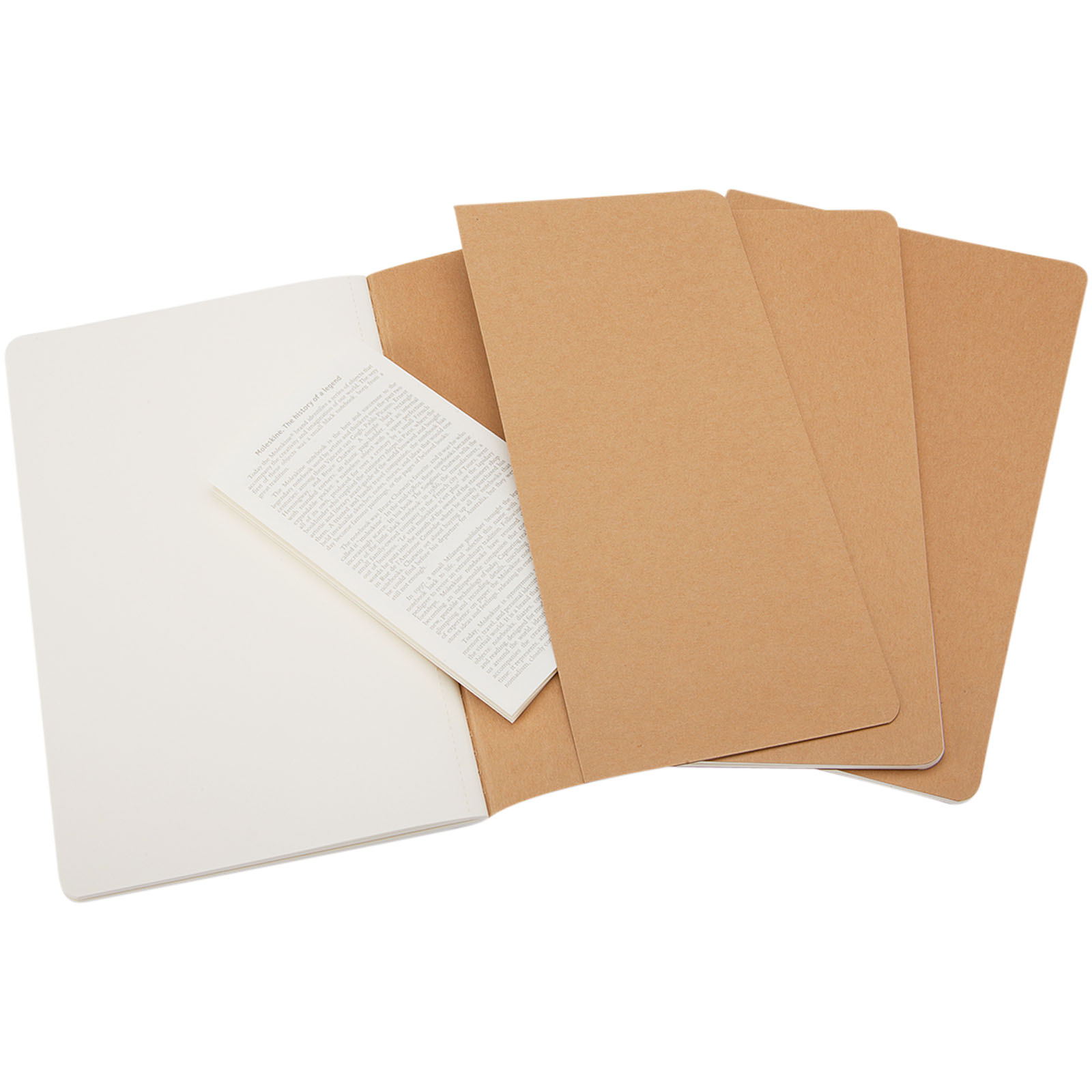 Moleskine Journal Cahier L - ordinaire