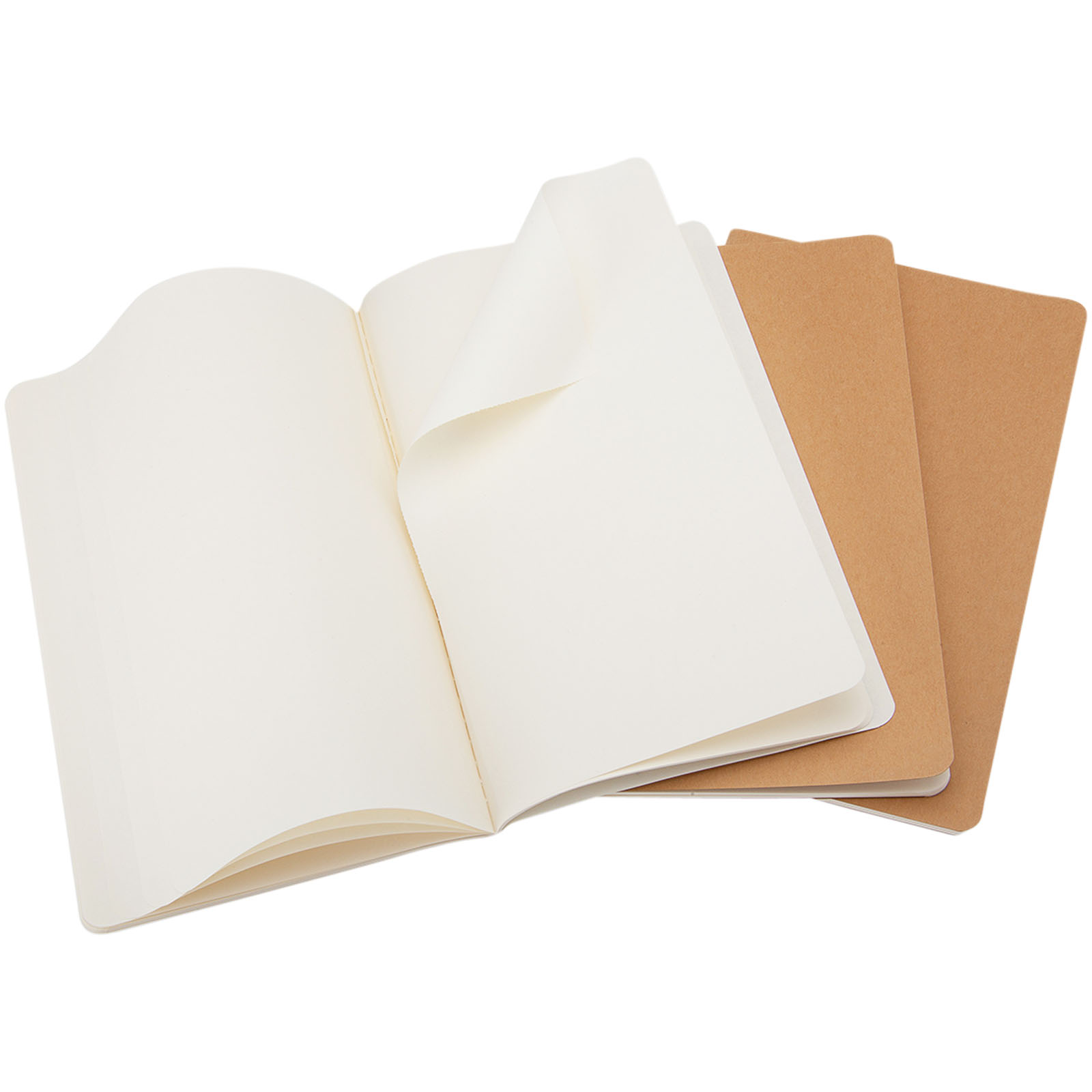 Moleskine Journal Cahier L - ordinaire