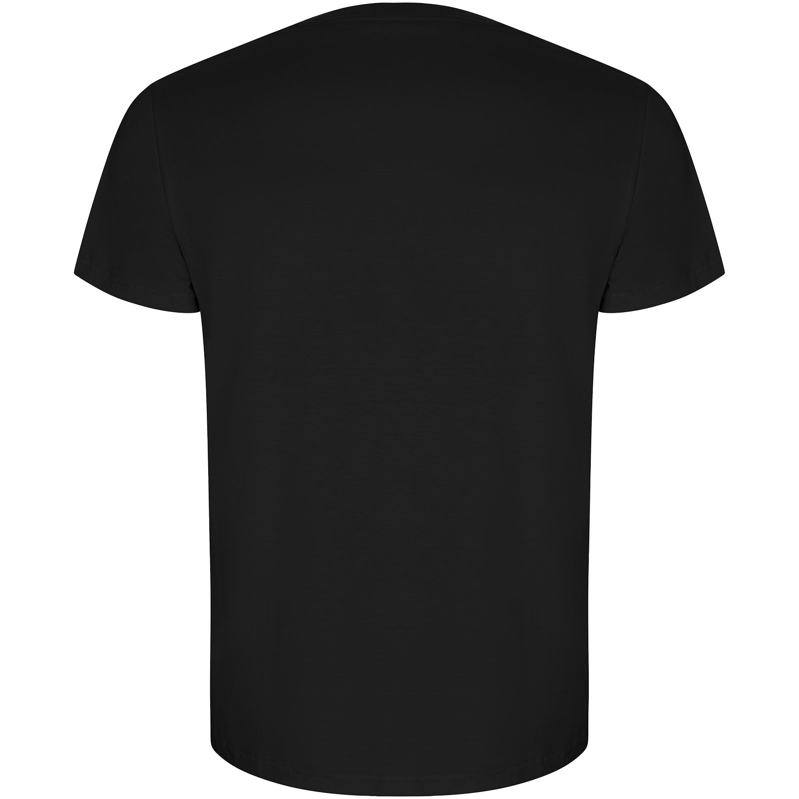 Roly T-shirt de 160 g/m² Golden à manches courtes pour homme