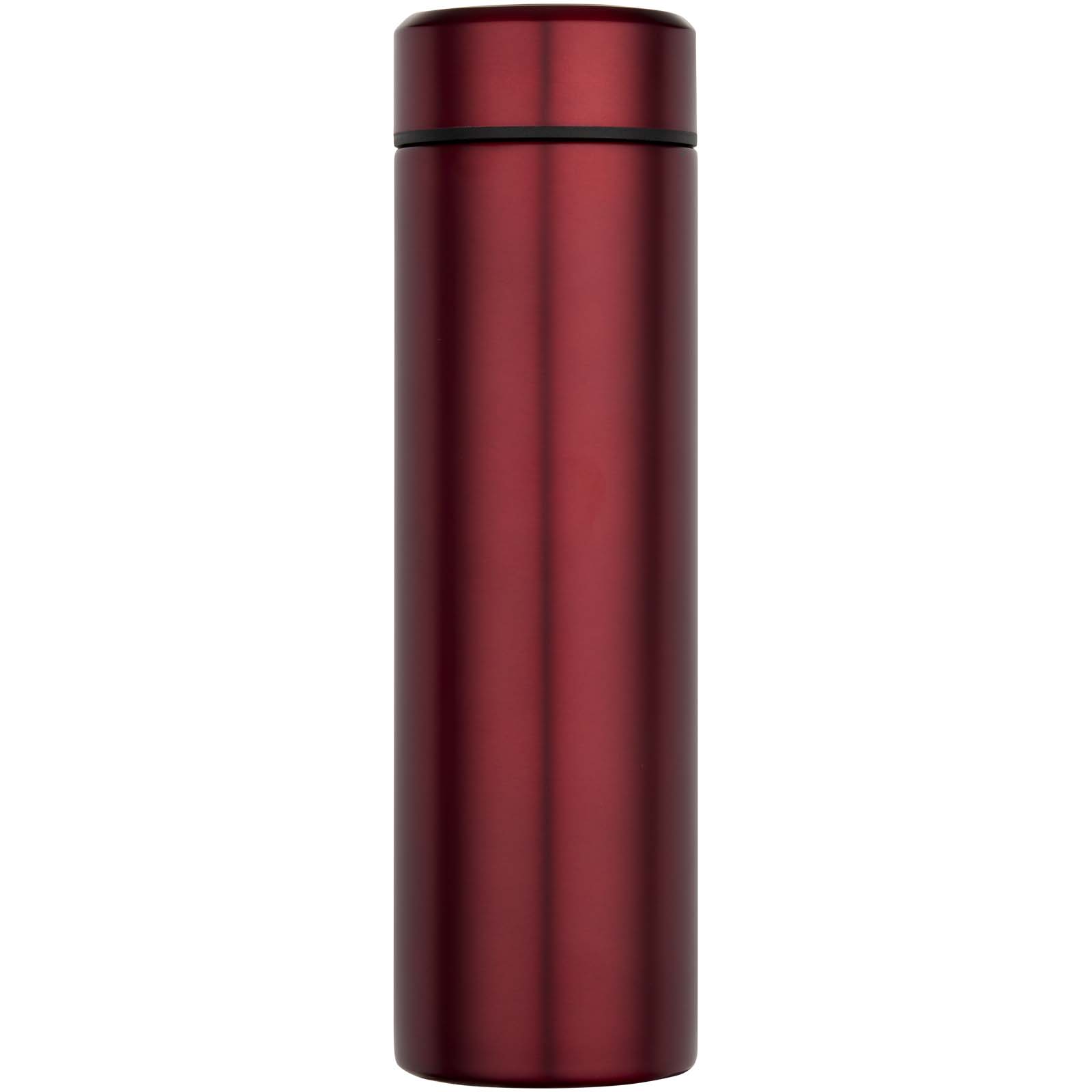 Gourde Taylor en acier inoxydable à double paroi de 450 ml avec filtre à thé