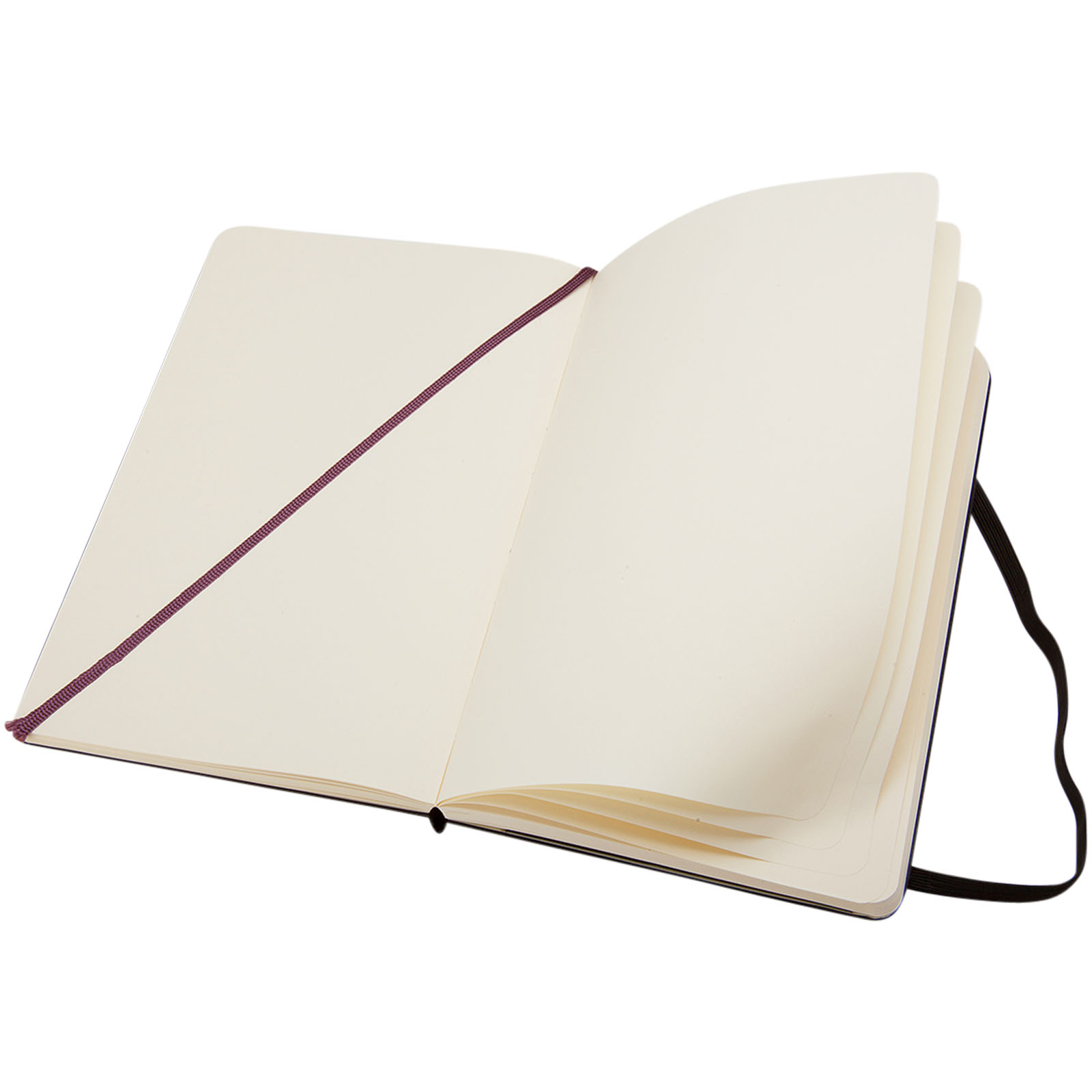 Moleskine Carnet Classic L à couverture rigide - ordinaire
