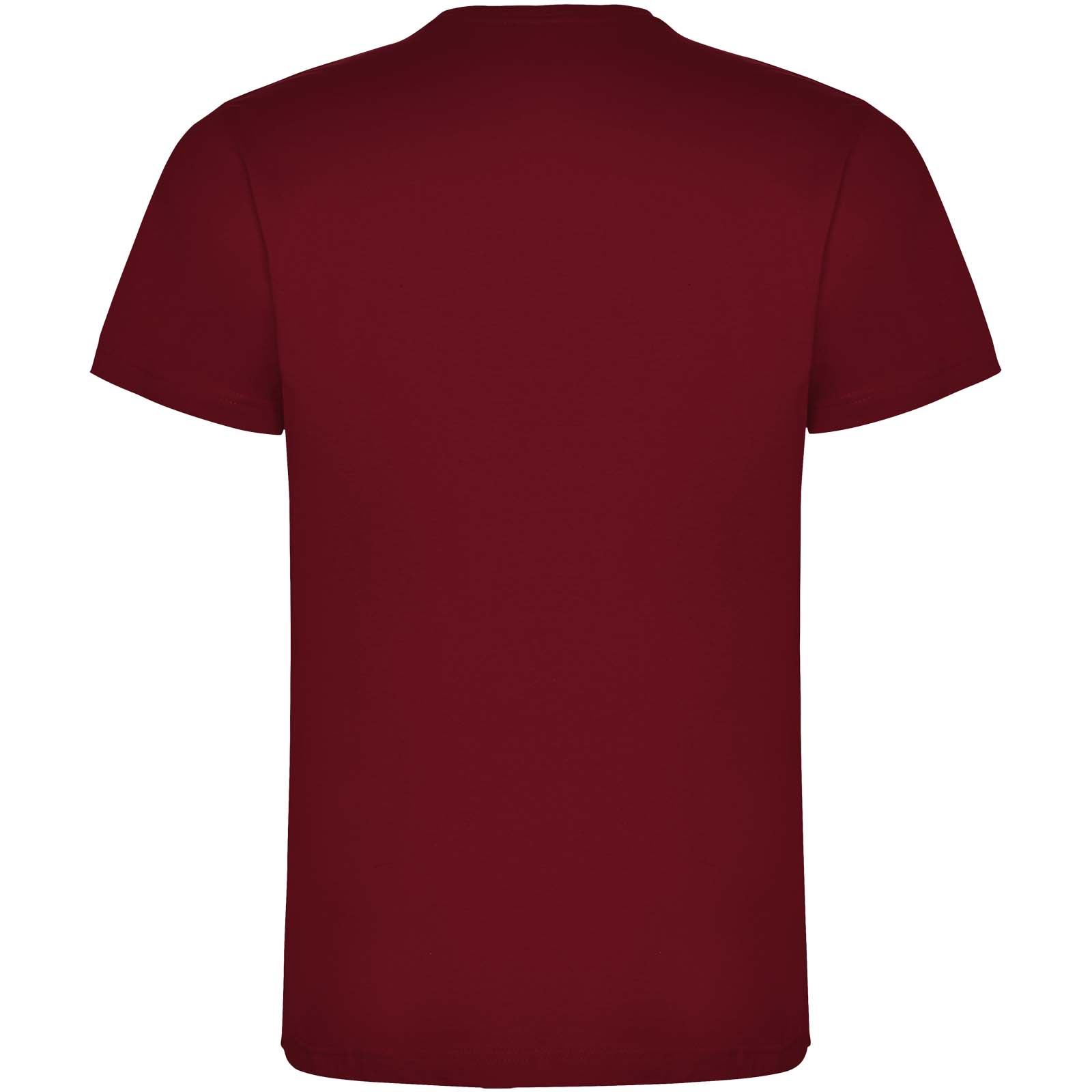 Roly T-shirt de 165 g/m² Dogo Premium à manches courtes pour homme