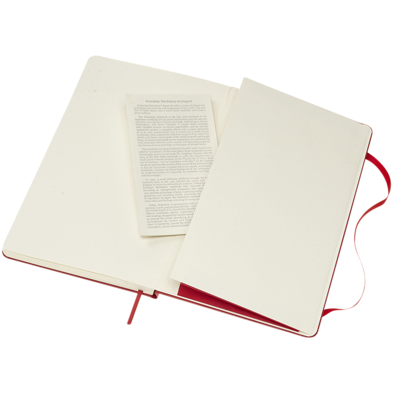 Moleskine Carnet Classic L à couverture rigide - ligné
