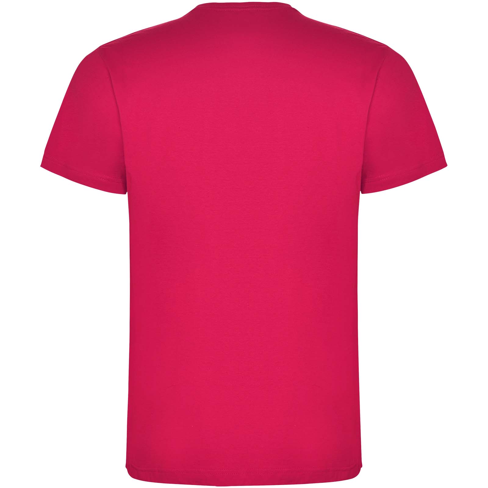 Roly T-shirt de 165 g/m² Dogo Premium à manches courtes pour homme