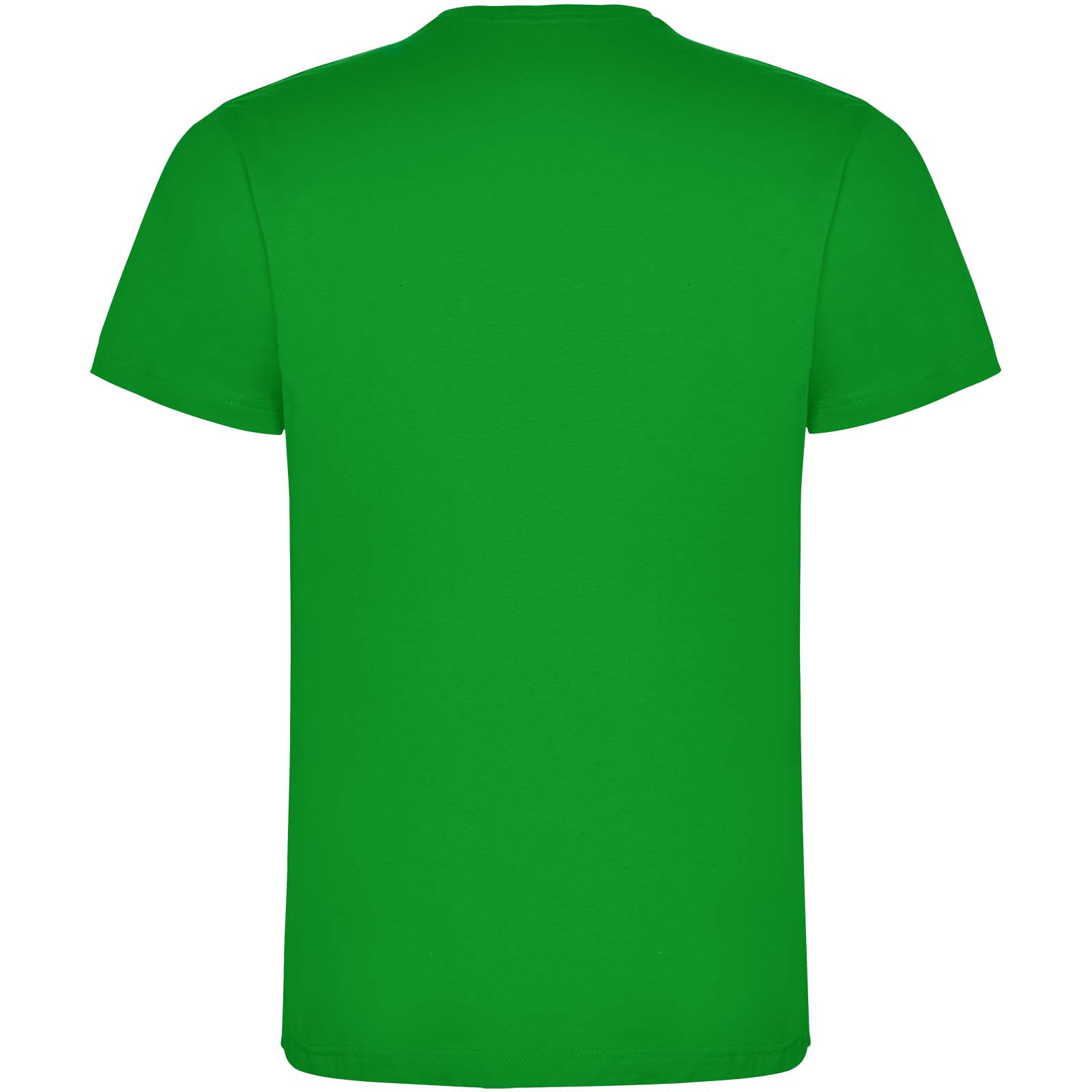 Roly T-shirt de 165 g/m² Dogo Premium à manches courtes pour homme