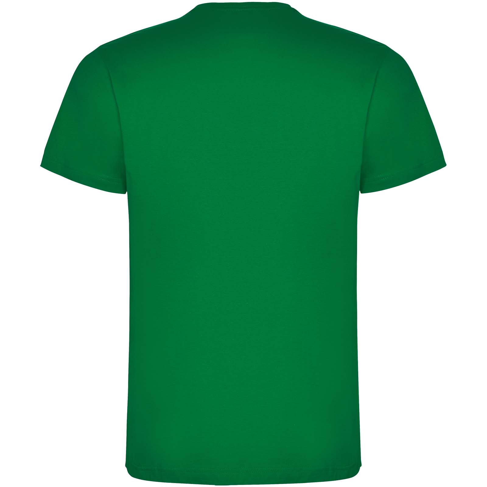 Roly T-shirt de 165 g/m² Dogo Premium à manches courtes pour homme