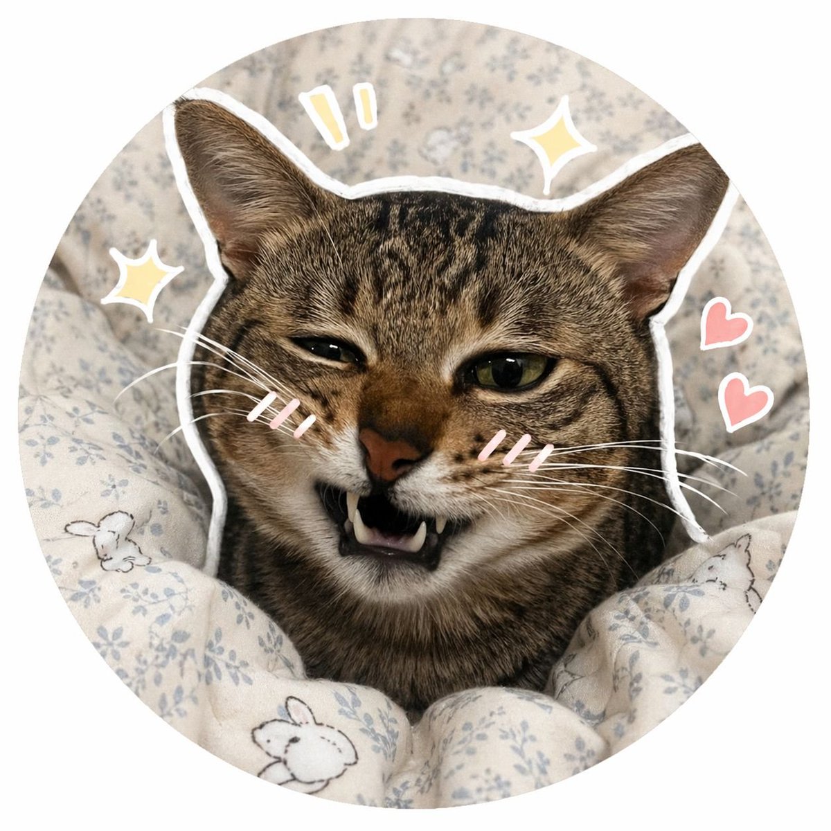 Social Media Pet Avatar Creator AI image template preview
