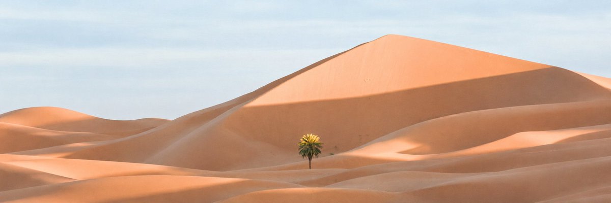 Ultra-Wide Desert Dunes With Lone Palm AI image template preview