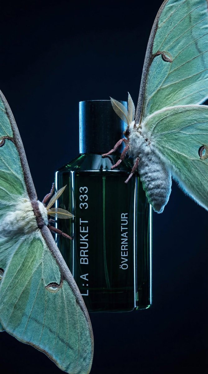 Luxury Perfume Bottle in Mystical Forest Product Shot AI image template preview