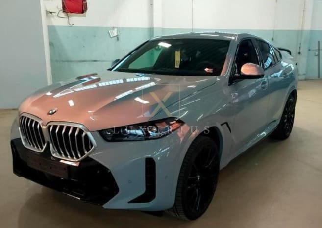 BMW X6