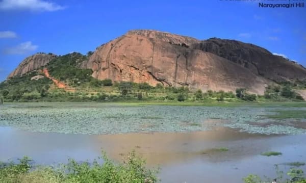 Narayanagiri Sunrise Trek for Corporates — view 4