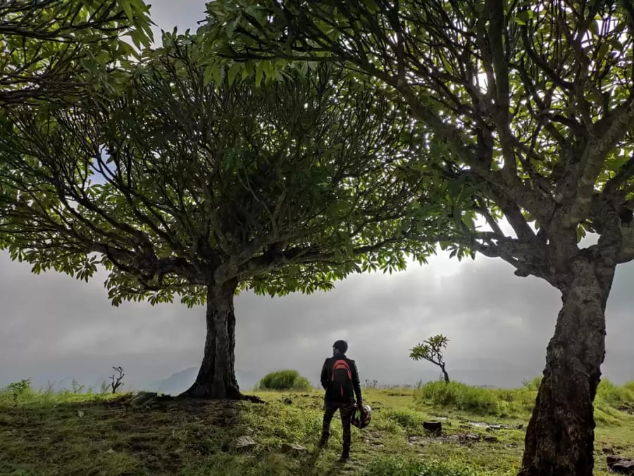 Narayanagiri Sunrise Trek for Corporates — view 1