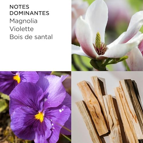 Vue 3 de Elizabeth Arden Th Avenue