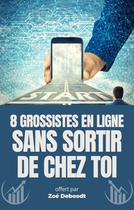 Couverture de l'ebook 8 grossistes en ligne
