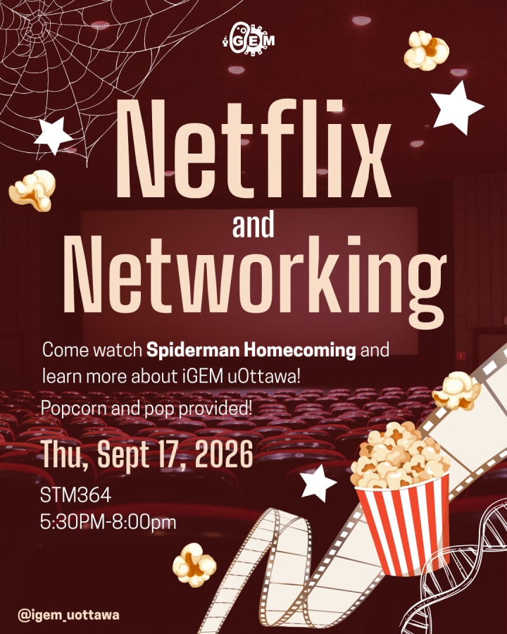 Netflix and Networking