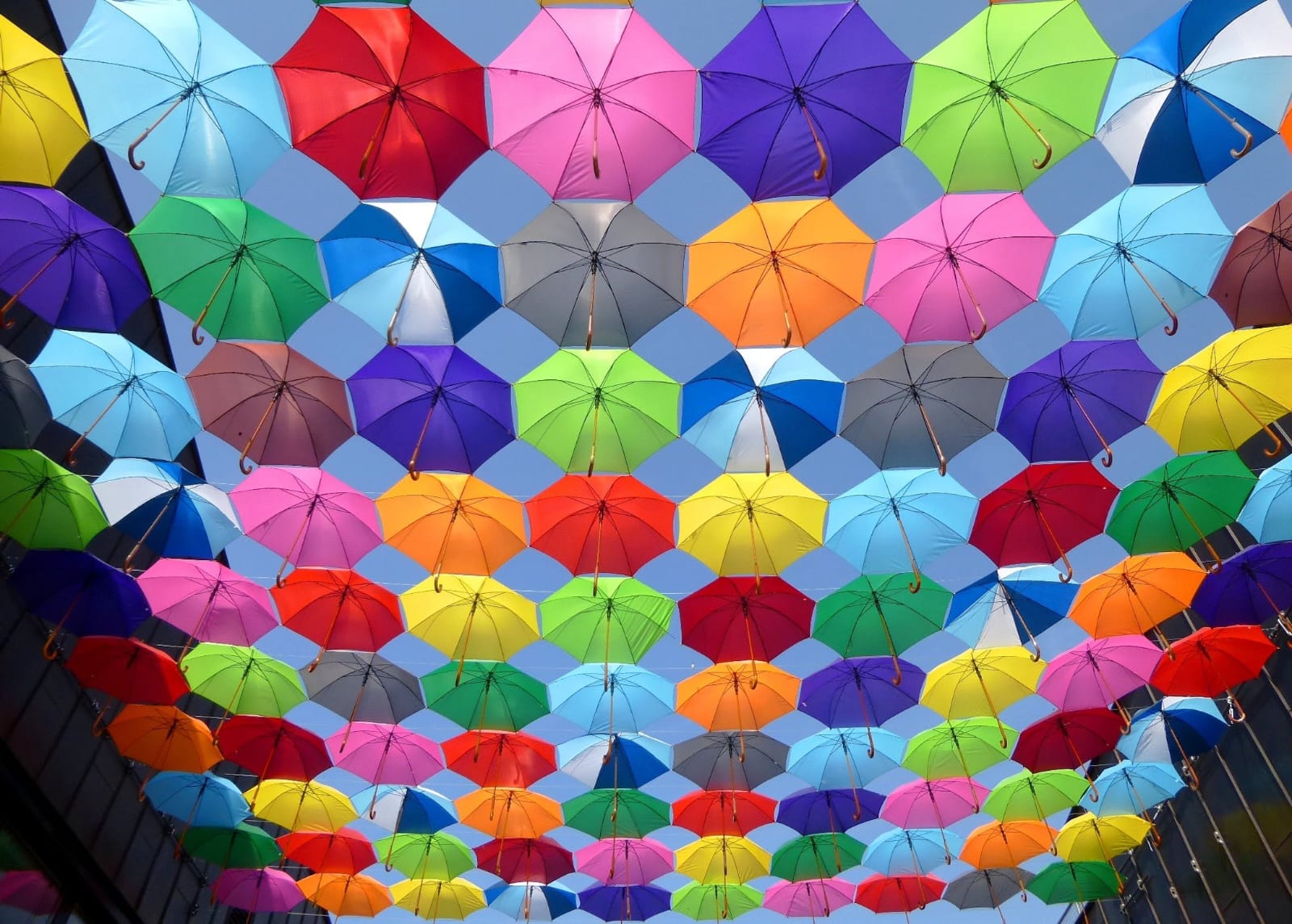  Umbrellas showcasing a playful and lively color palette.  