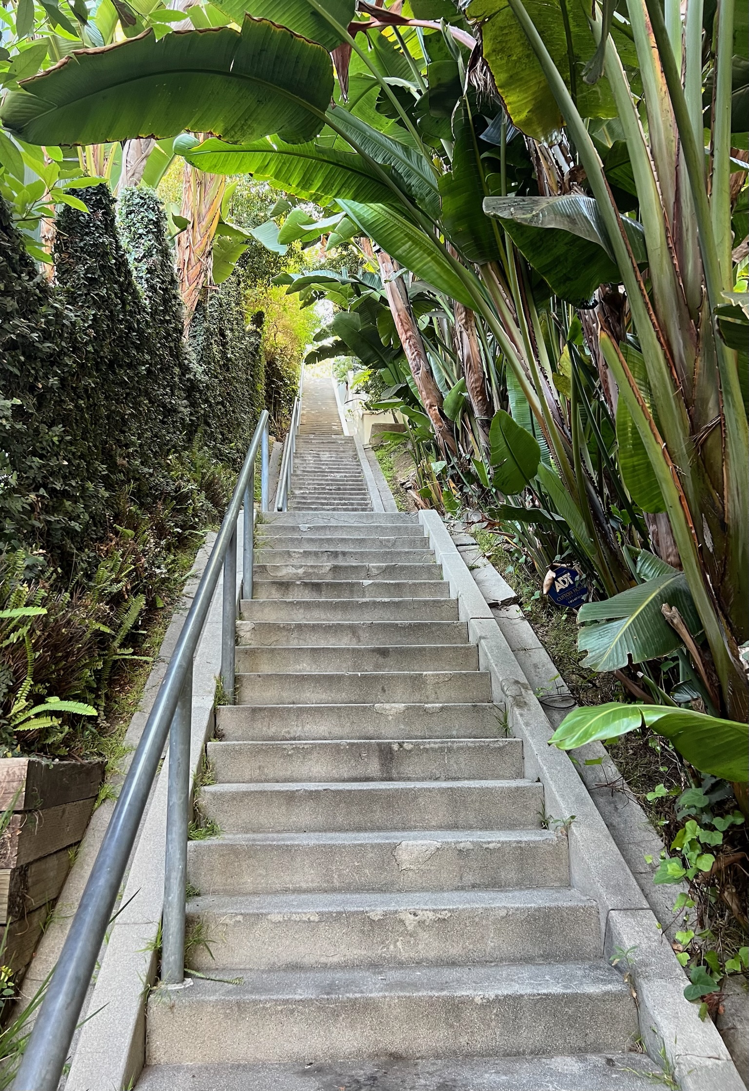 Secret Stairways Group Tour