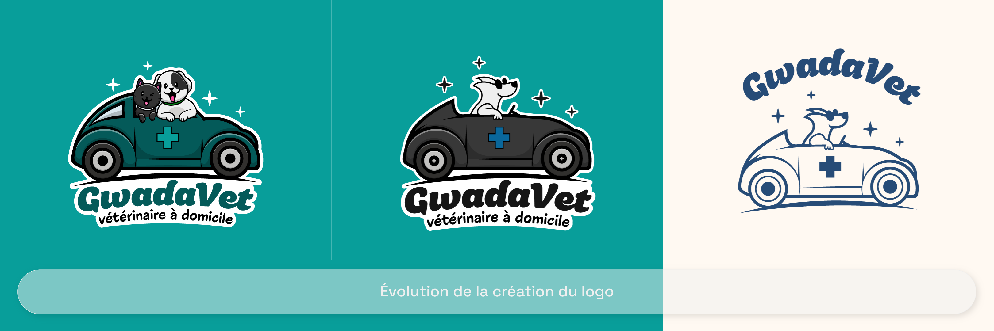 GwadaVet — vue principale