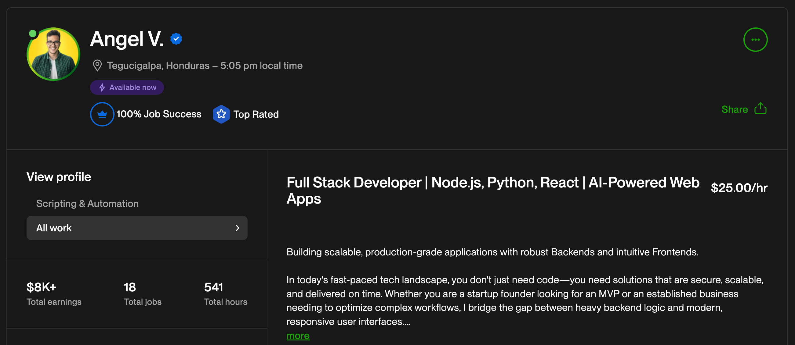 Angel Valladares Upwork Profile