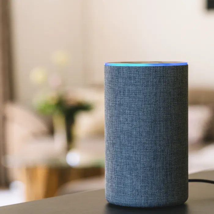 Voice assistants