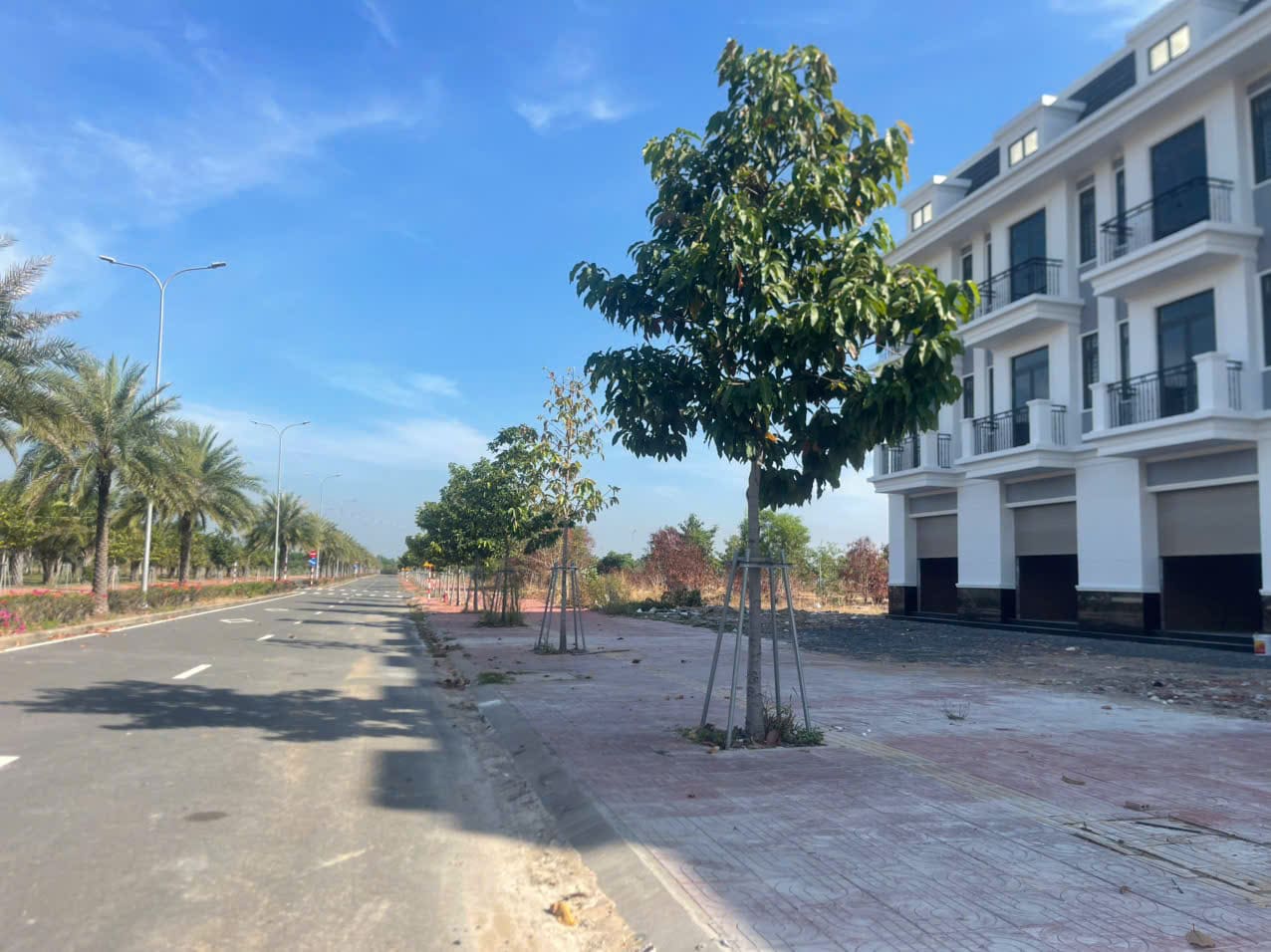 Đường nội khu, hàng cây và cảnh quan Mega City 2 Nhơn Trạch