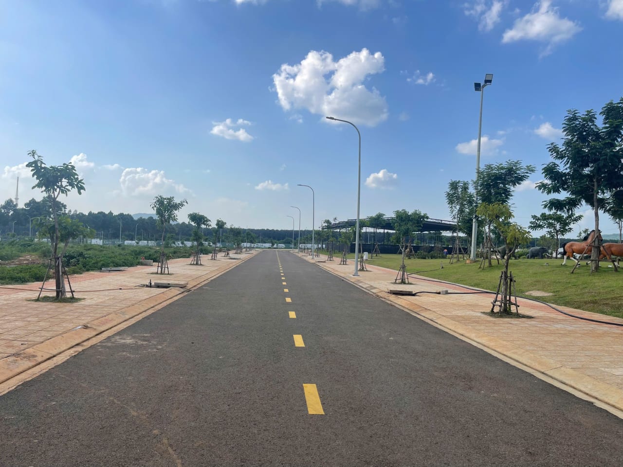 Đường nội khu nhựa phẳng hoàn thiện 100% tại The Link City Dầu Giây