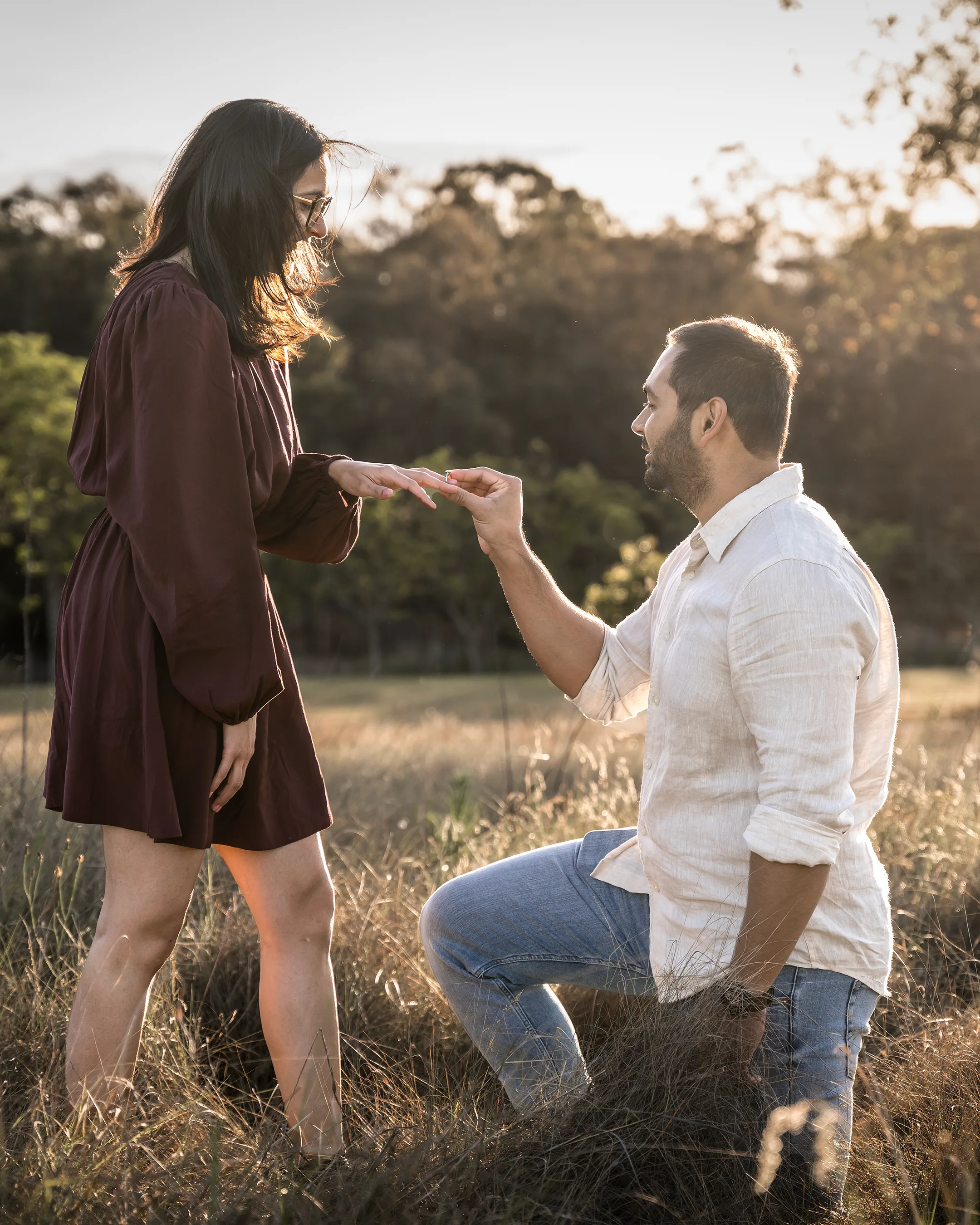 Man proposing to his partner in a golden grass field at Rouse Hill Regional Park