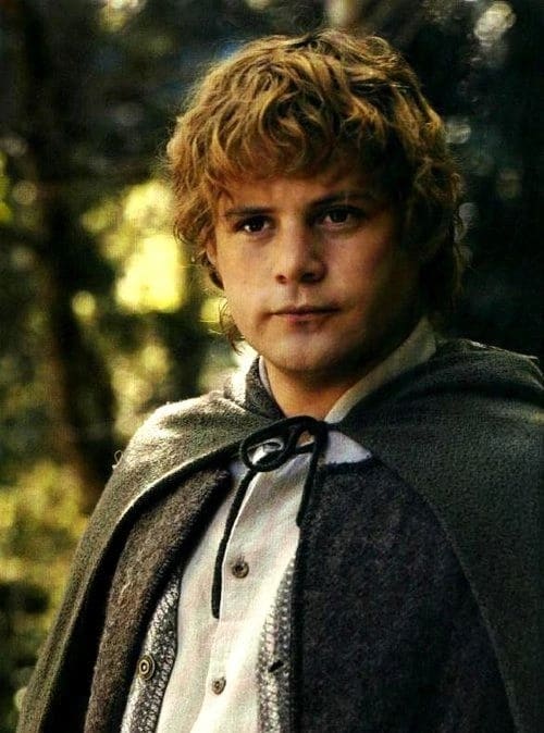 Samwise Images Samwise Gamgee - Which Lord of the Rings Character Are You? | Which Atlas
