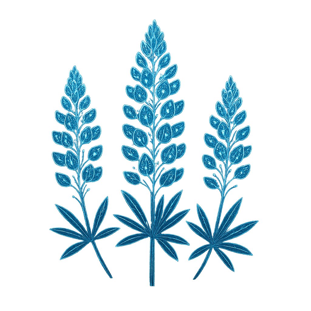 Texas Bluebonnets